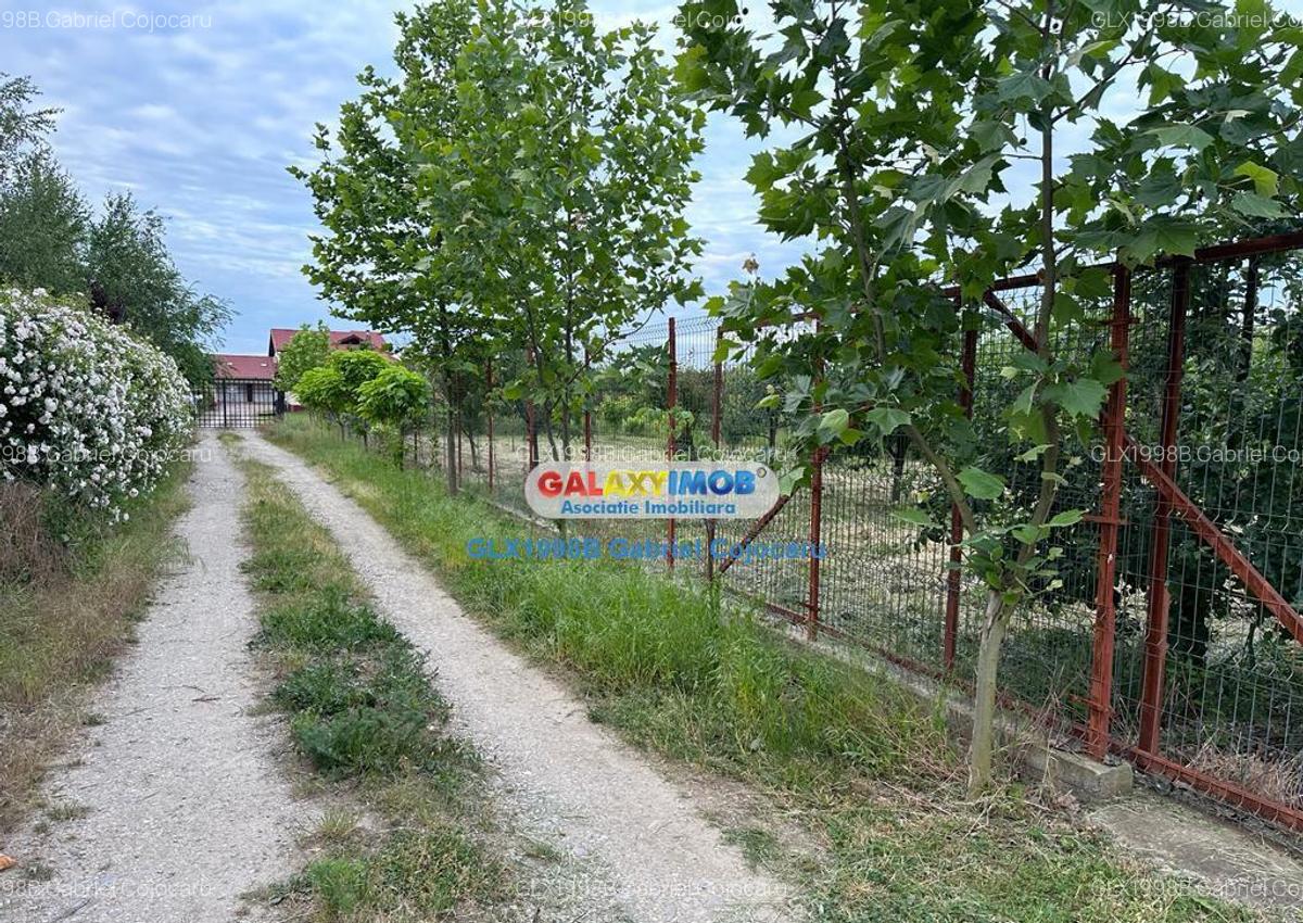 Teren de 754mp Corbeanca zona Laguna Albastra - 5