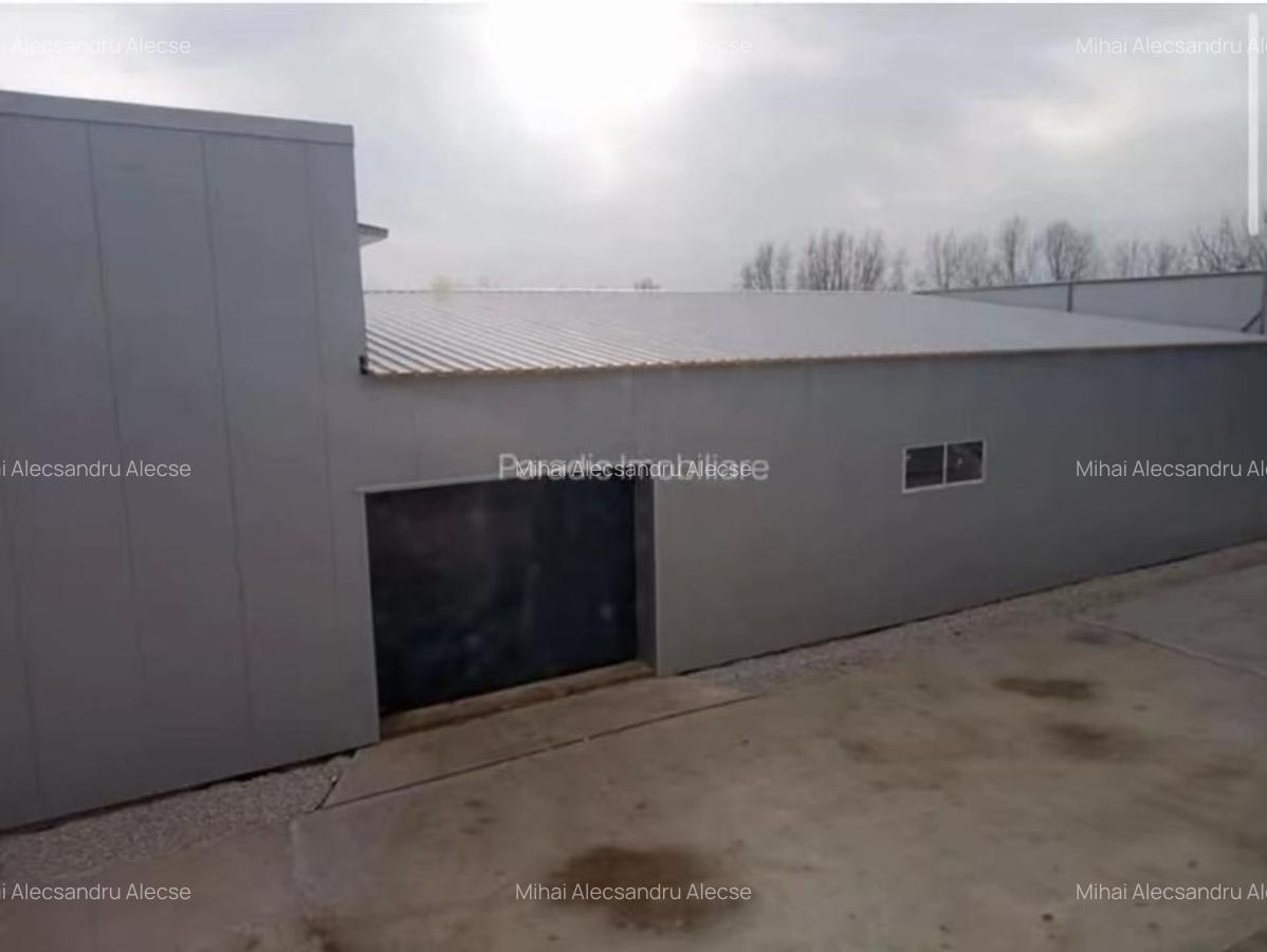 Închiriez, vand  hale industriale si spatii comerciale Bolintin Vale - 7