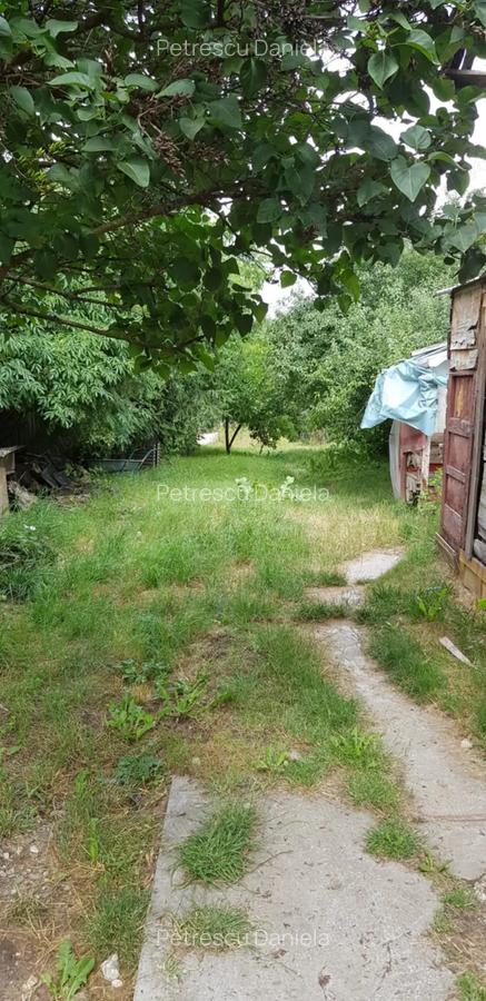 Vand casa la tara in comuna Haghig - 2