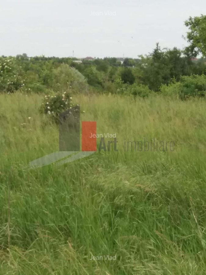 Teren Buftea cu iesire la lac - 5