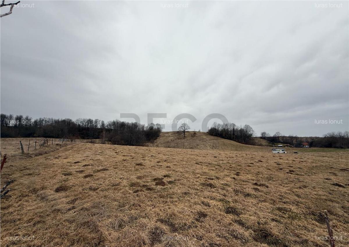 RECO , teren intravilan in Tomnatic, Vadu Crisului - 3