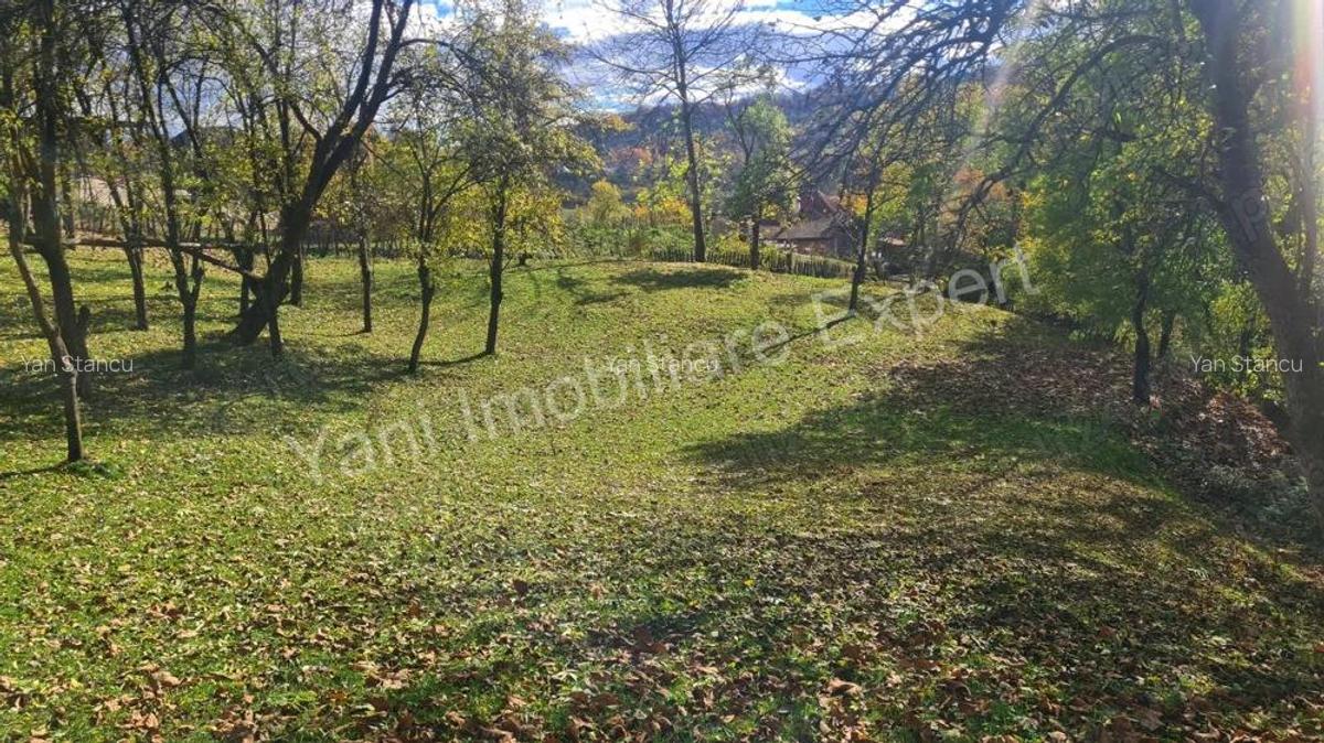 Teren de vanzare in comuna Arefu, jude? Arge?. - 12