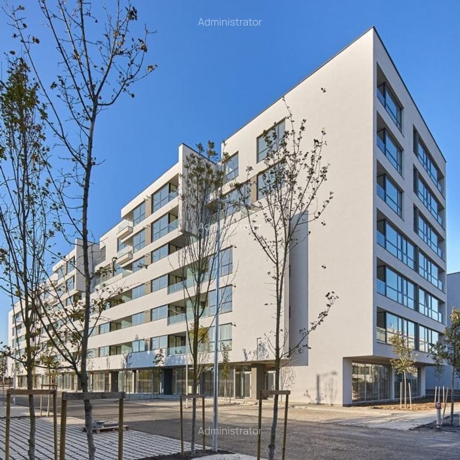 Apartament cu 2 camere decomandat în Chitila - 8