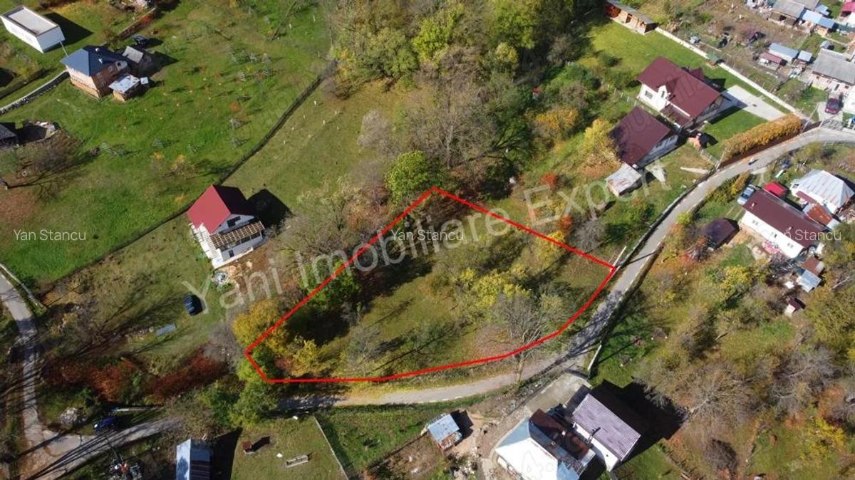 Teren de vanzare in comuna Arefu, jude? Arge?. - 20