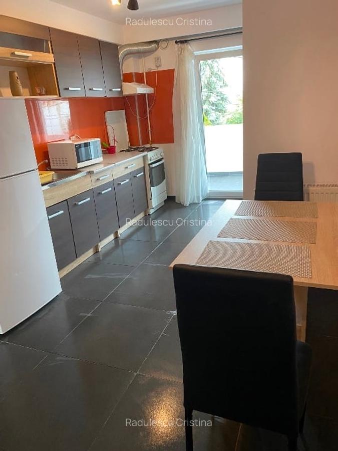 Inchirez apartament 2 camere in Cipariu - 9