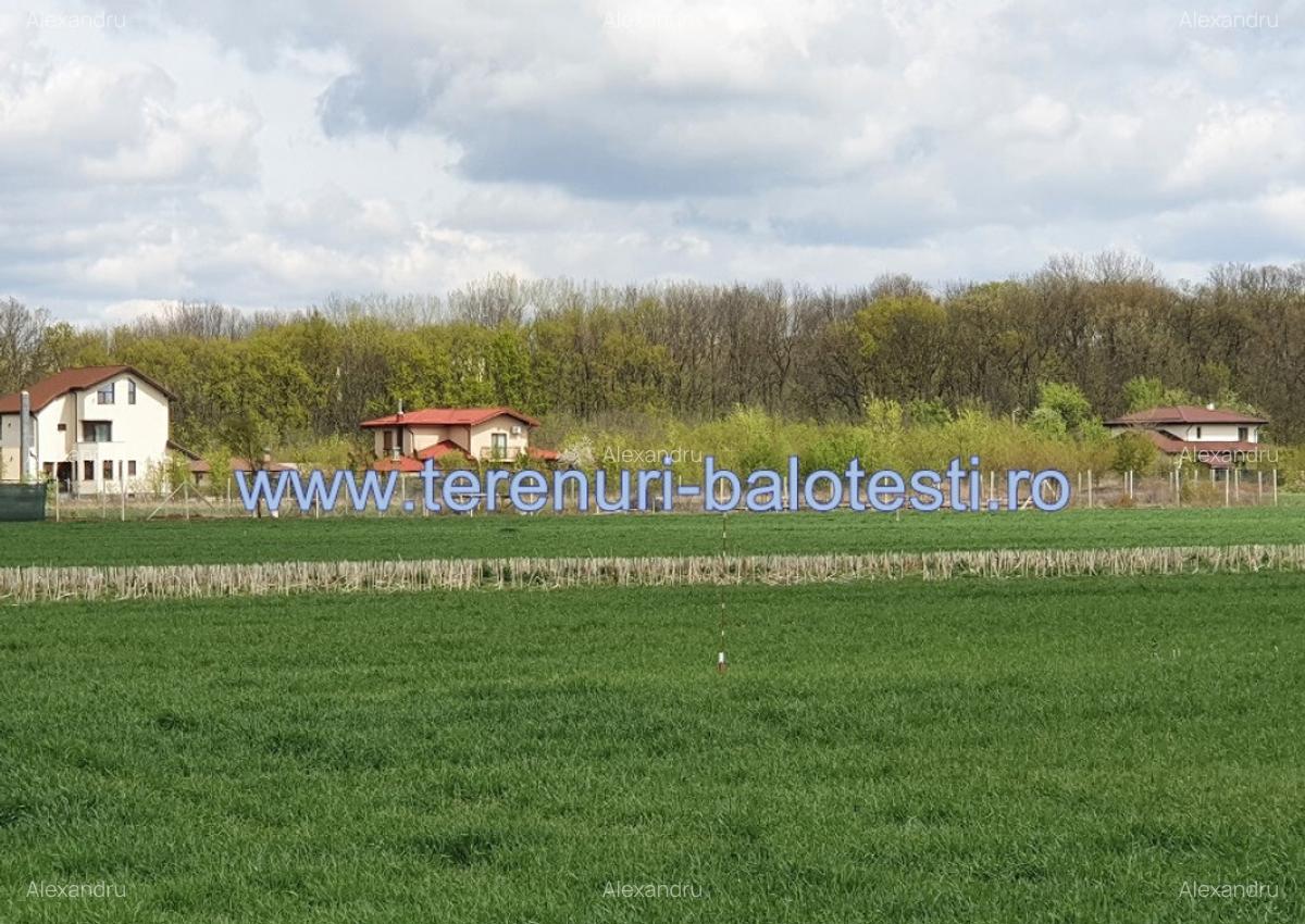 Teren langa padure si utilitati,800 mp,37000 euro - 13