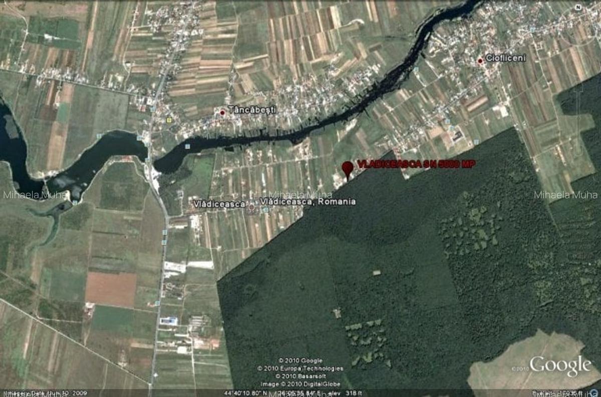 Vanzare teren Snagov Vladiceasca - 7