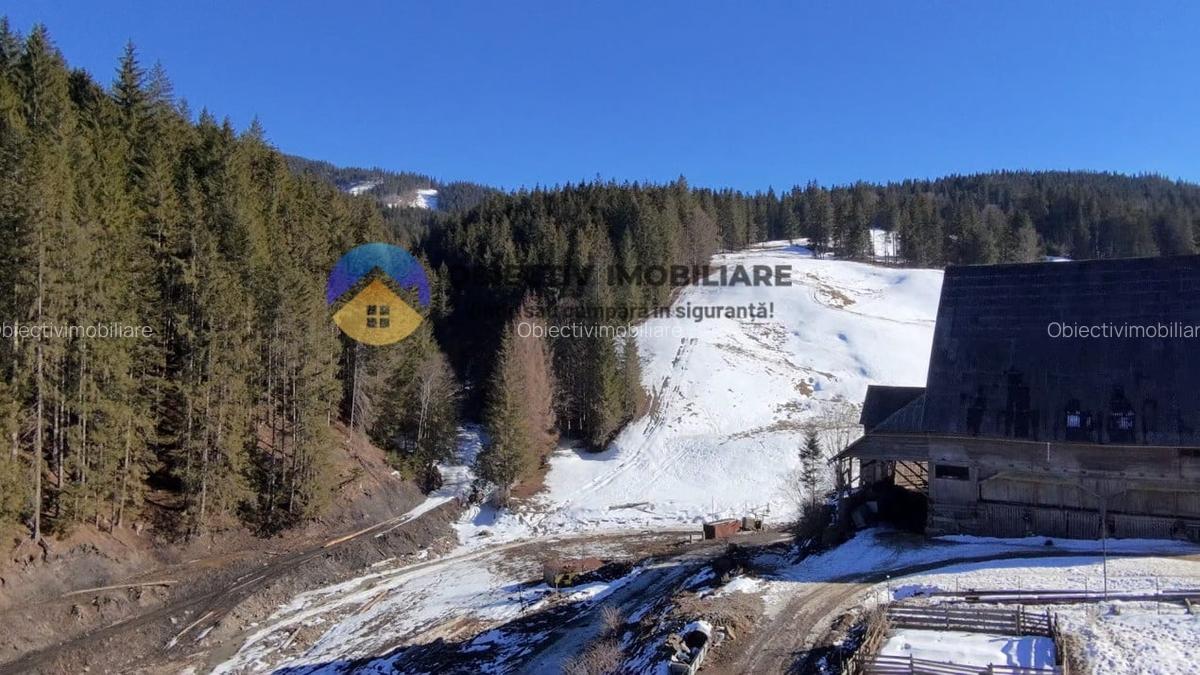 Refugiu Natural: Casa si Teren Inconjurat de Padure ! - 17