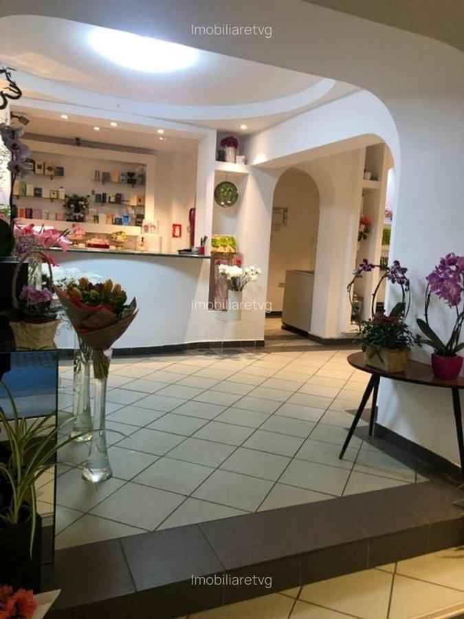 Ultracentral Focsani, Spatiu Comercial, Oportunitate - 6