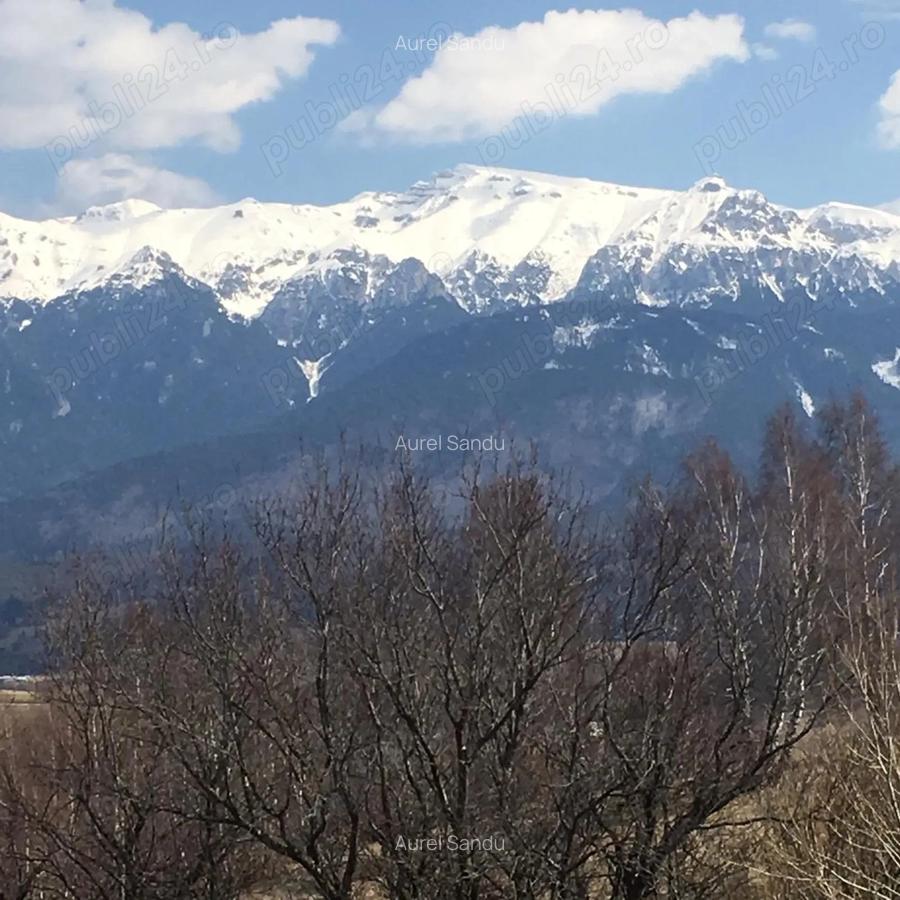 Casa de vacanta sat Pestera, Brasov - 7