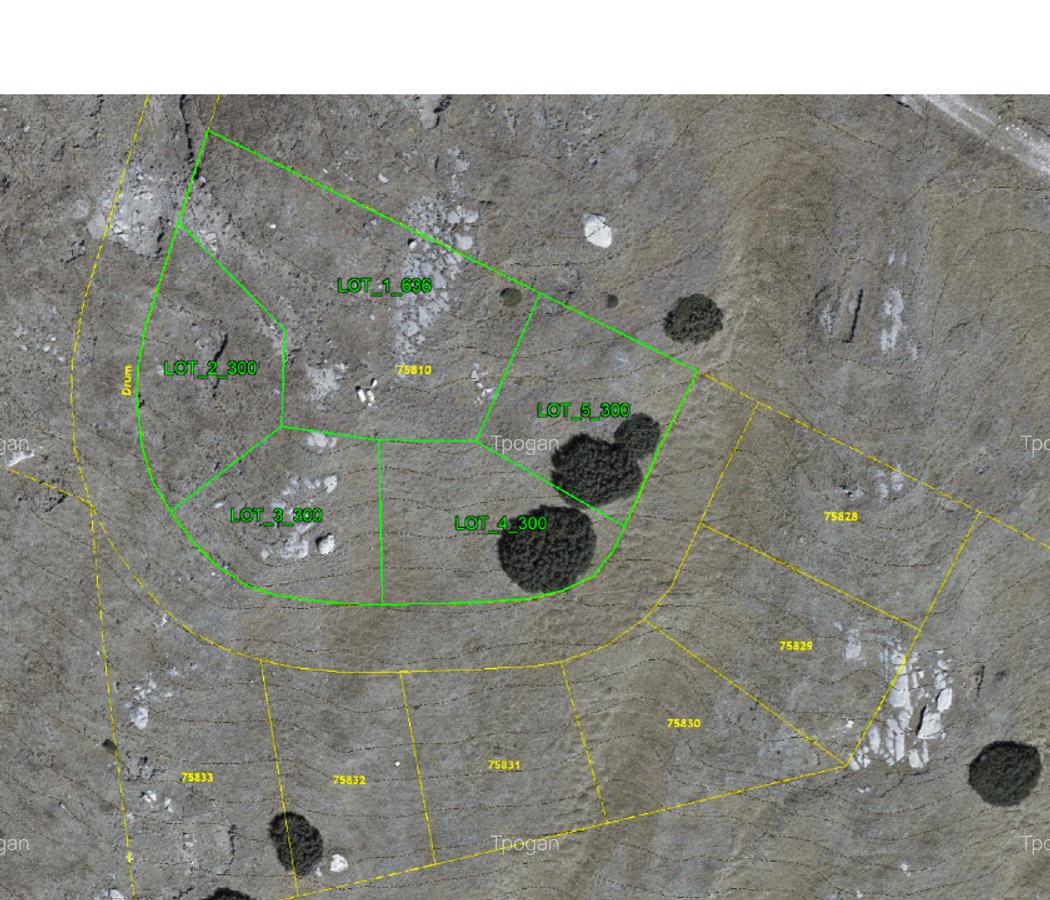 Terenuri in Bucegi, Zona Alpina Inalta, pentru dezvoltare cabane, vile turistice - 3