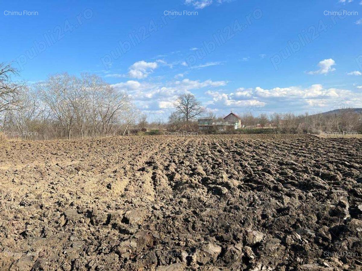 Se vinde casa batraneasca cu teren! - 3