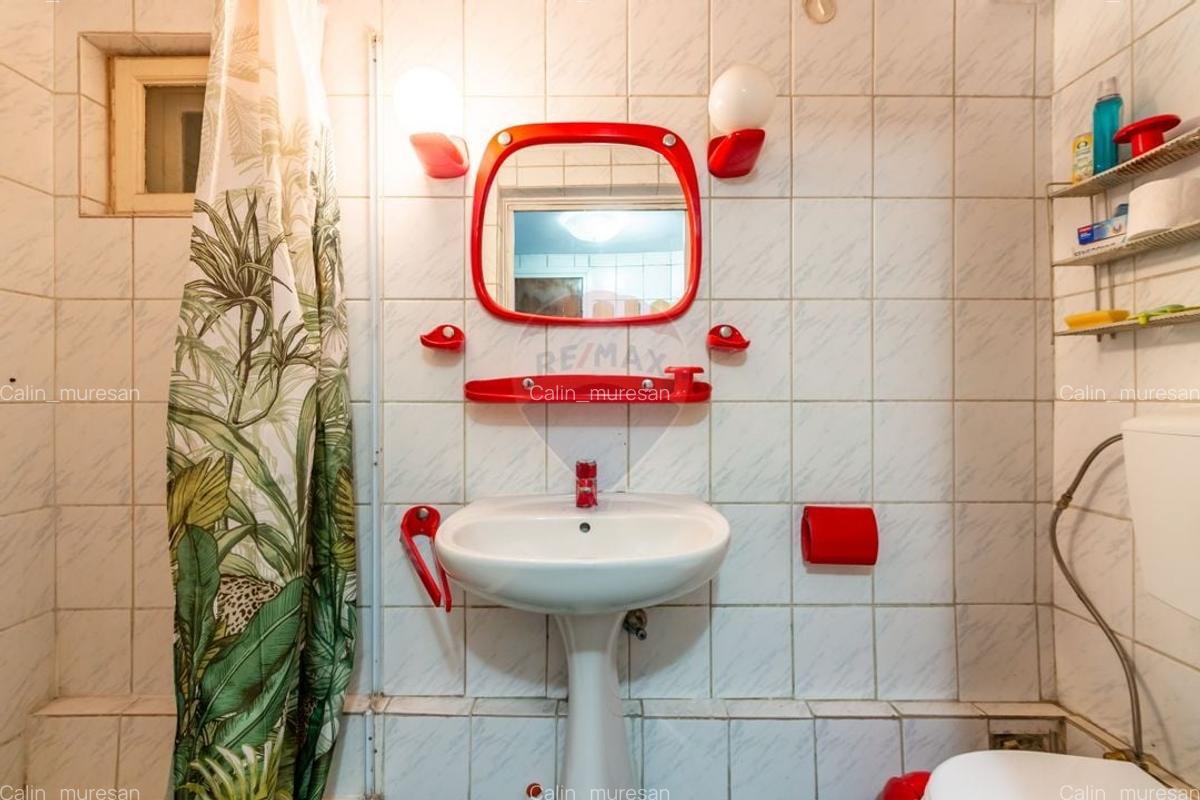 Vila Individuala 5 camere Domenii-Agronomie 178mpu Parcare Metrou - 9