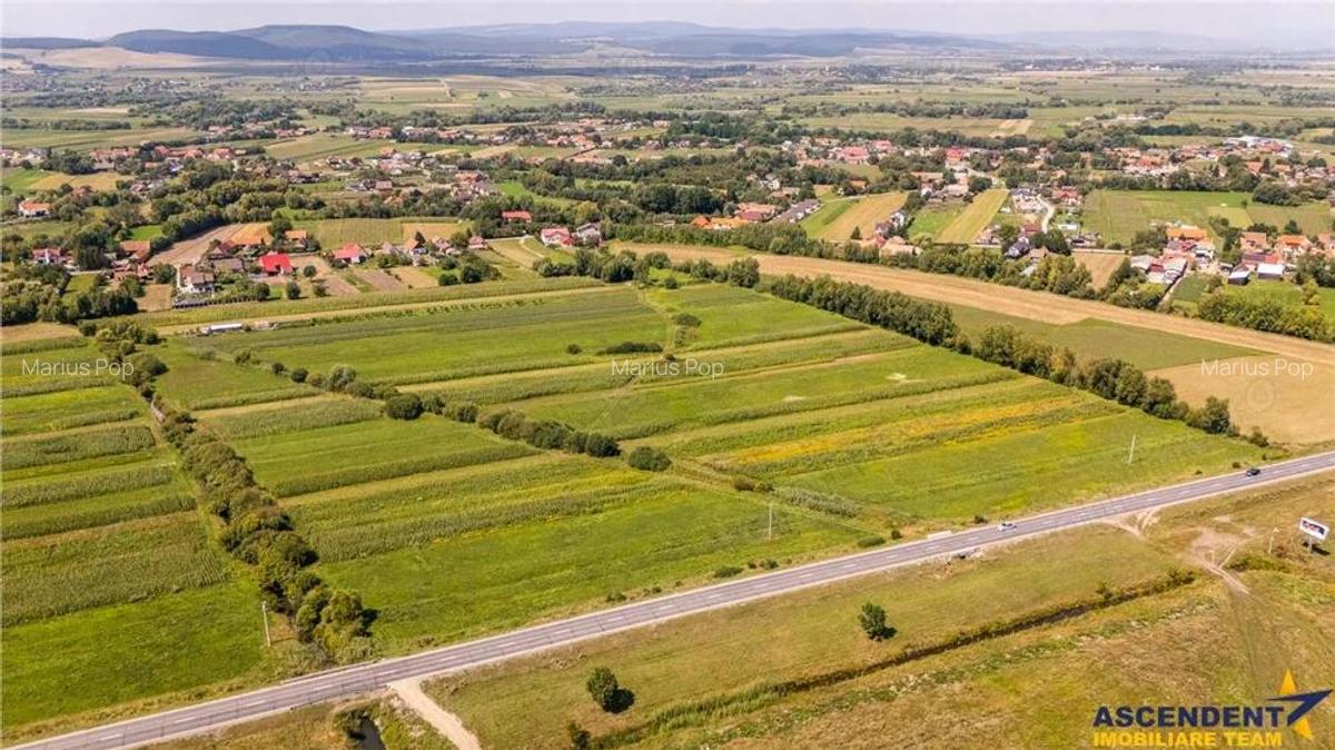 Teren extravilan Lunca Calnicului langa E574 - 13