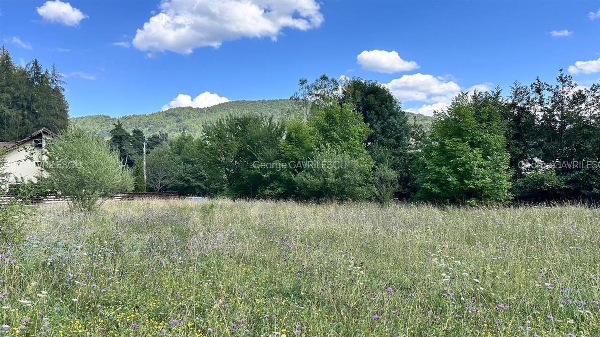 Teren Construcții intravilan de 4000 mp, în Brădet - 8