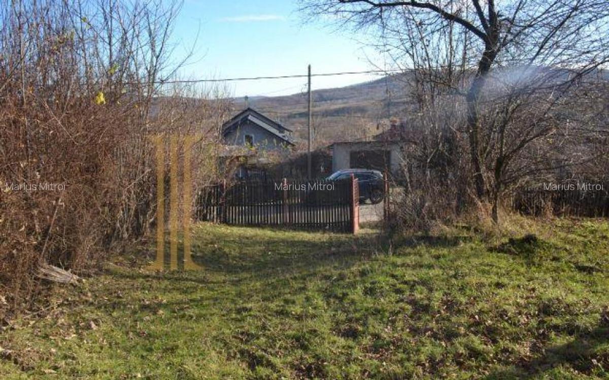 Casa Batraneasca Teren 3000mp - Glodeni Dambovita. - 4