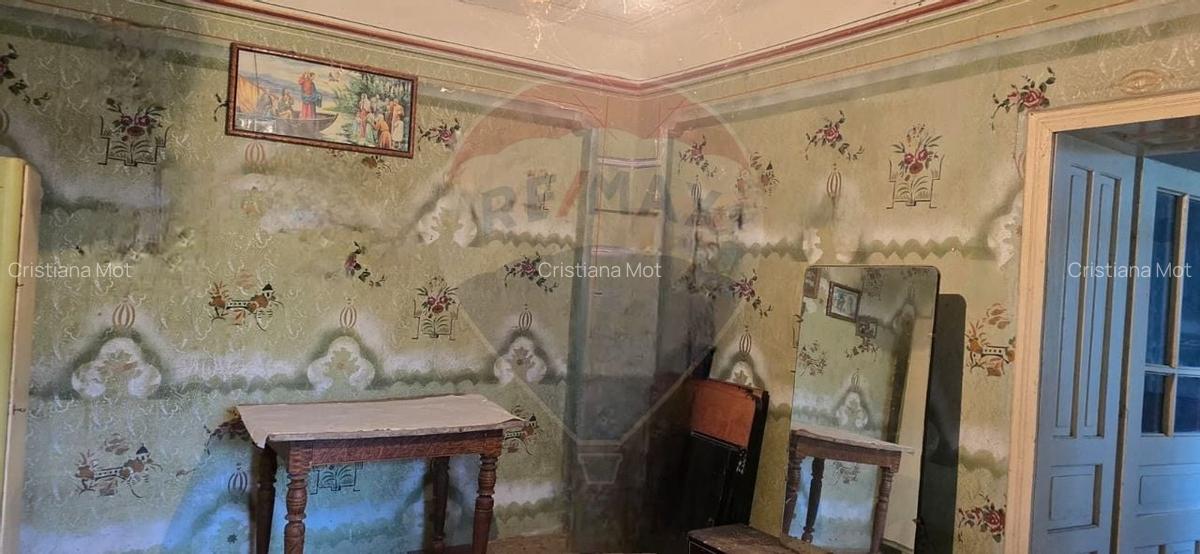 Teren si casa cu teren generos in Socodor - 19 Teren si casa cu teren generos in Socodor - 19