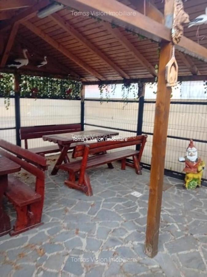 Vanzari Case / vile - 8