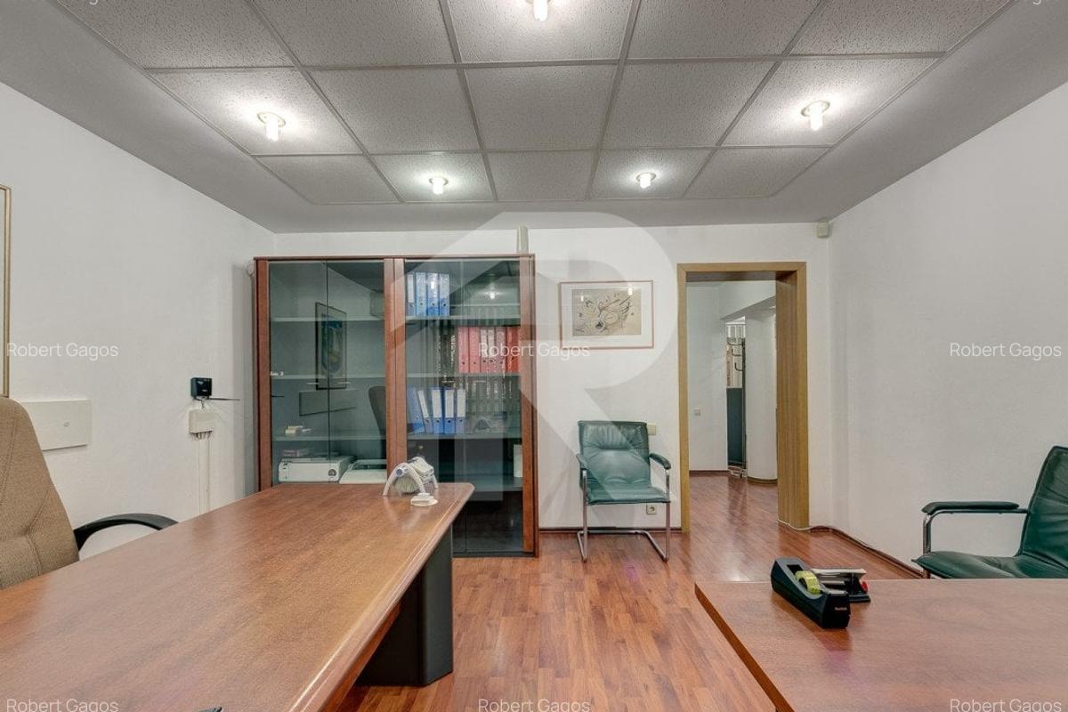 Birou premium pe Șos. Panduri - 13