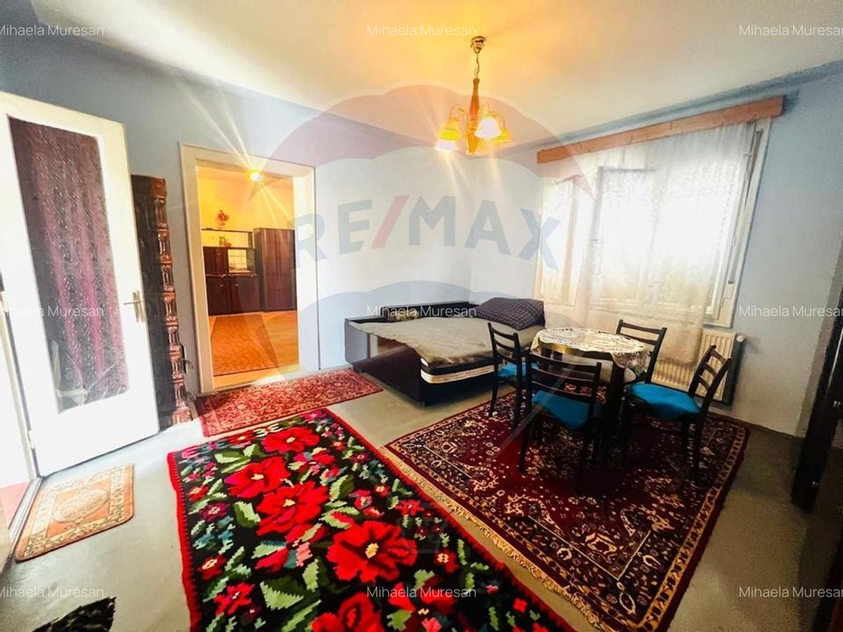 Casa 4 camere 1672 mp teren in Horia - 14