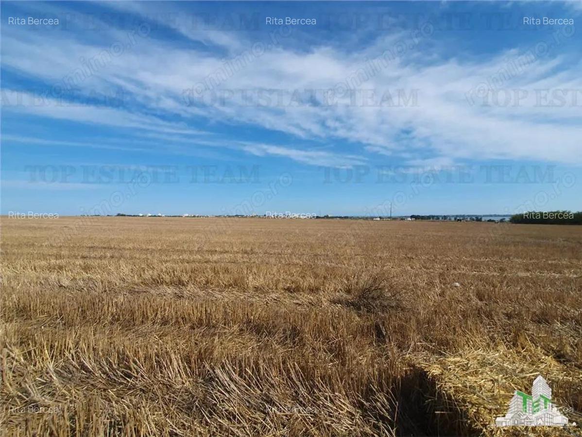 Teren Techirghiol - 6