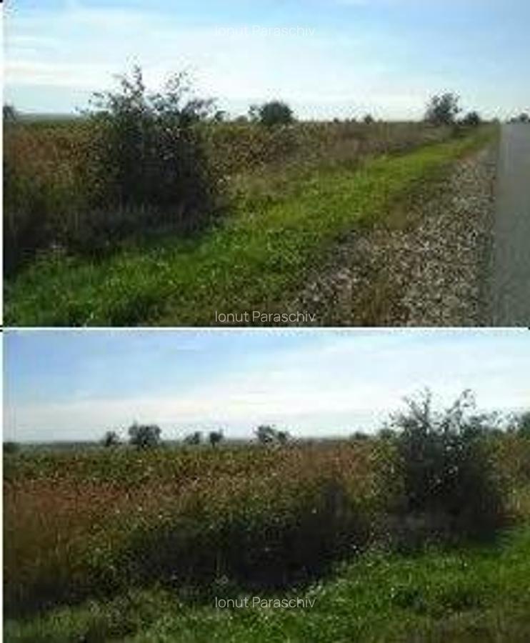 Teren extravilan Obrejita, ID: R2832813 - 9