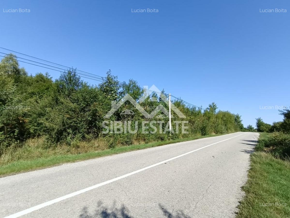 Teren  construibil ,la sosea, intre Vale si Sibiel, zona cu potential - 1