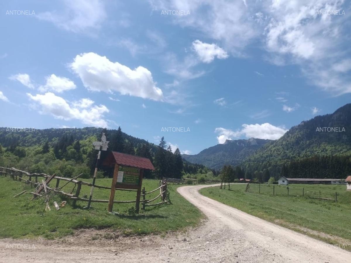 Vnd teren la munte, zona foarte frumoasă - 1