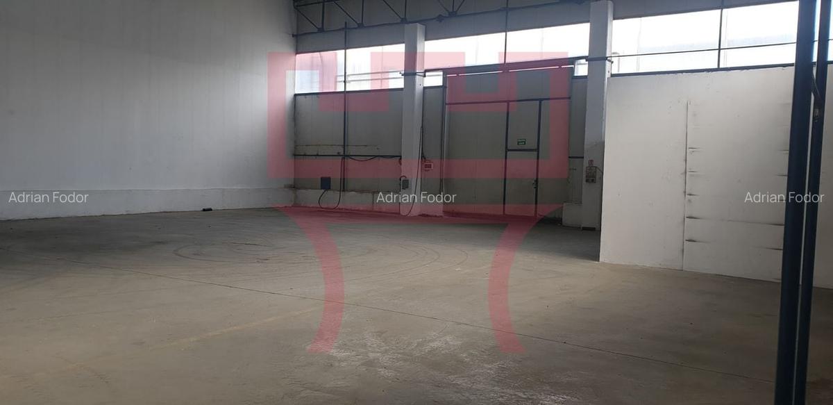 Hala spatiu industrial depozitare productie showroom cu birouri - 4