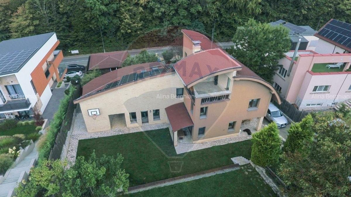 Vila spectaculoasa de vanzare in Faget - 19