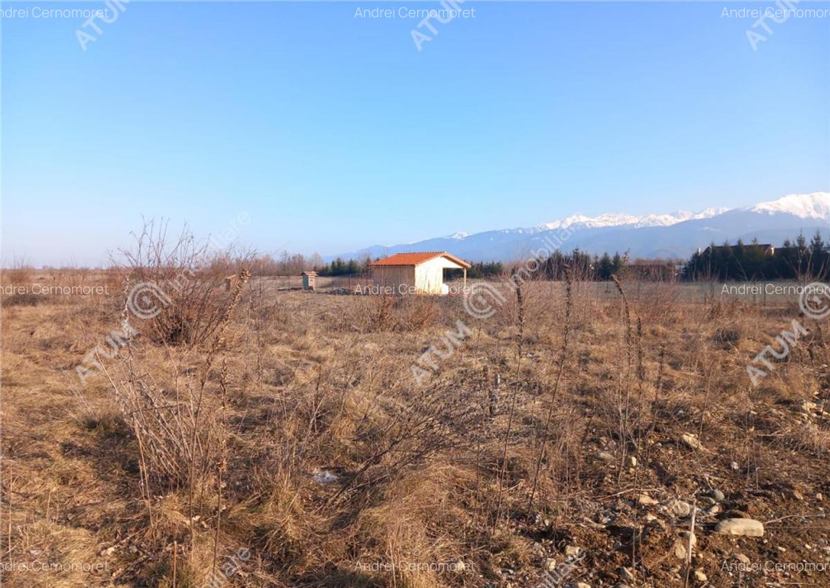 Teren intravilan 7900 mp de pe Valea Avrigului - 1