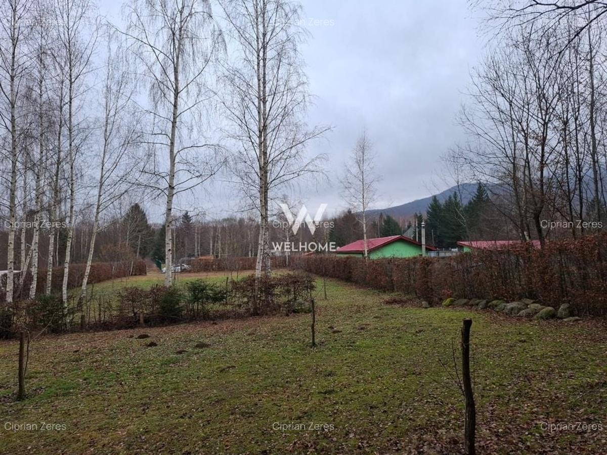 Teren deosebit pozitionat, cu livada, langa padure,  pe Valea Avrigului - 1