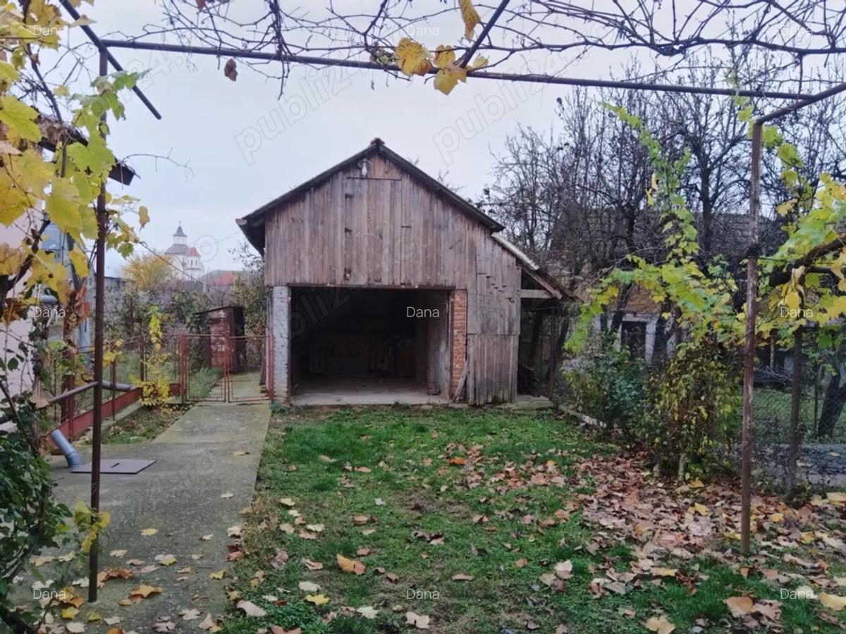 Casa de vanzare Peciu Nou - 9