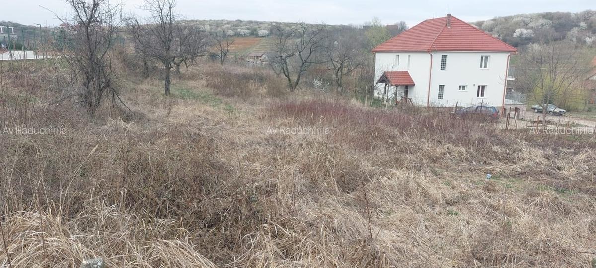 TEREN INTRAVILAN ORADEA 900 -MP CU - PUD APROBAT - 3