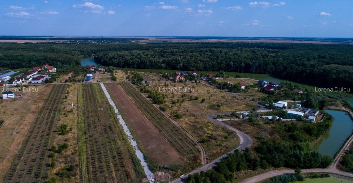 Branesti vanzare terenuri 764 si 1000mp CU UTILITATI langa lac si padure - 7