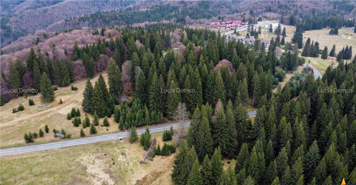 FILM! 1.000 mp,PUZ,regim P 2 M,destinatii turistice rezident - 6