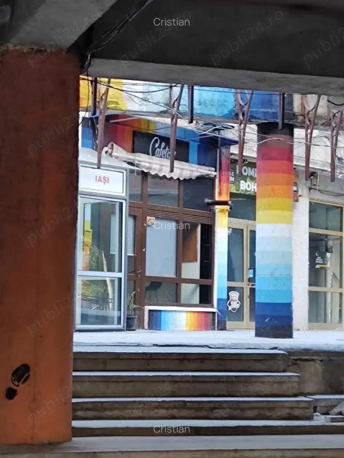 Spatiu comercial, 30 mp, str. Lapusneanu. - 1