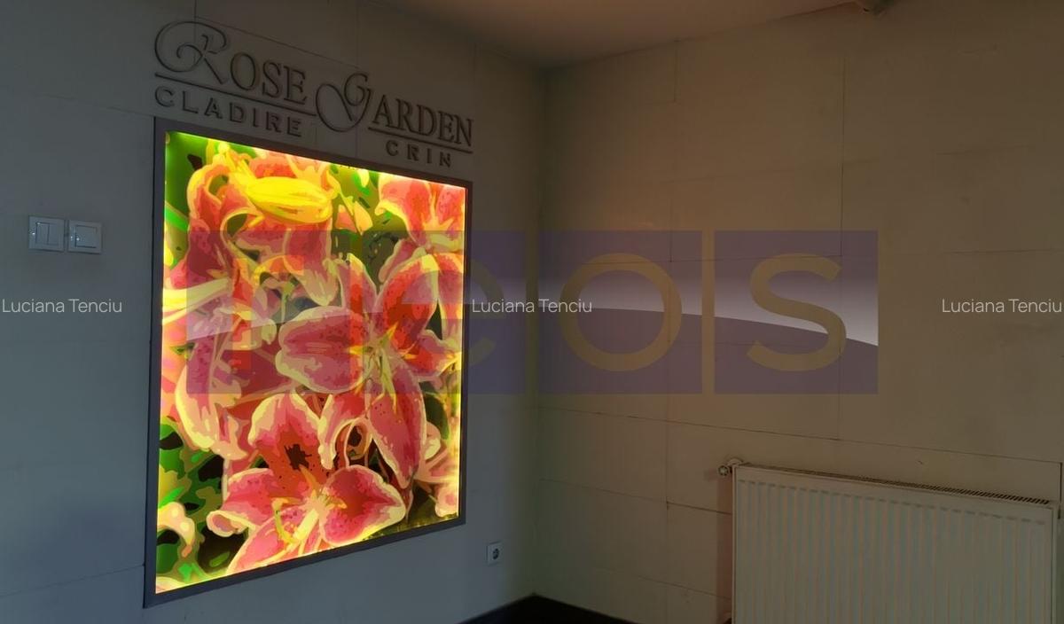 INCHIRIERE 2 CAMERE | ROSE GARDEN | DOAMNA GHICA - 10