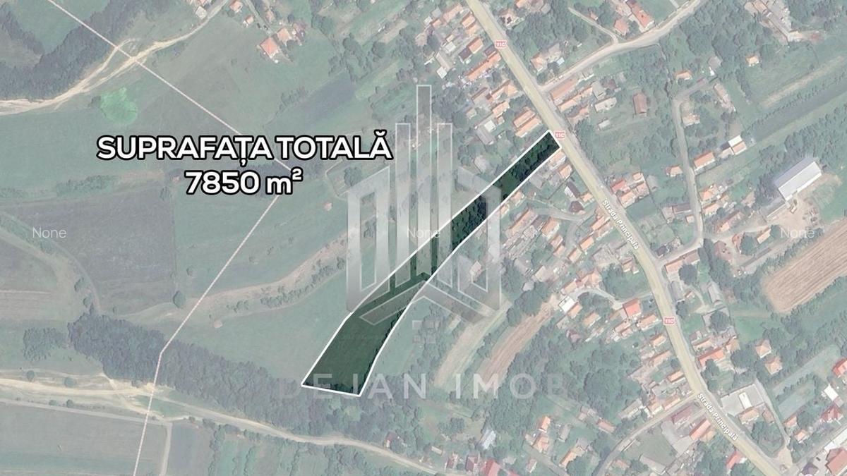 Teren Intravilan | 7.850 mp | Turia - 3