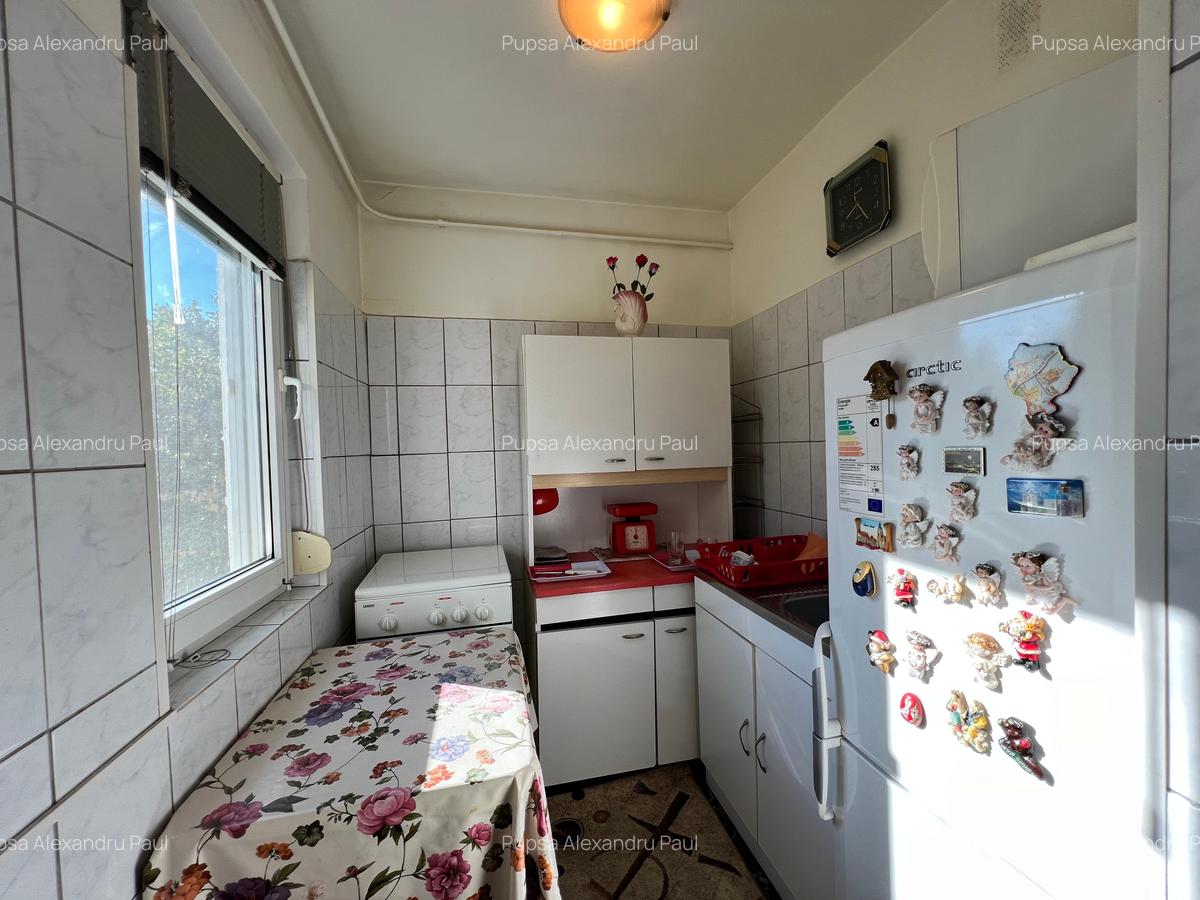 Apartament cu 2 camere semidecomandat, mobilat în Dacia - 5