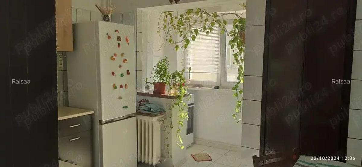 Apartament 2 camere delfinului - 5