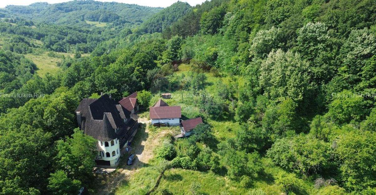 DE VANZARE CASTEL IN MARAMURES - 3