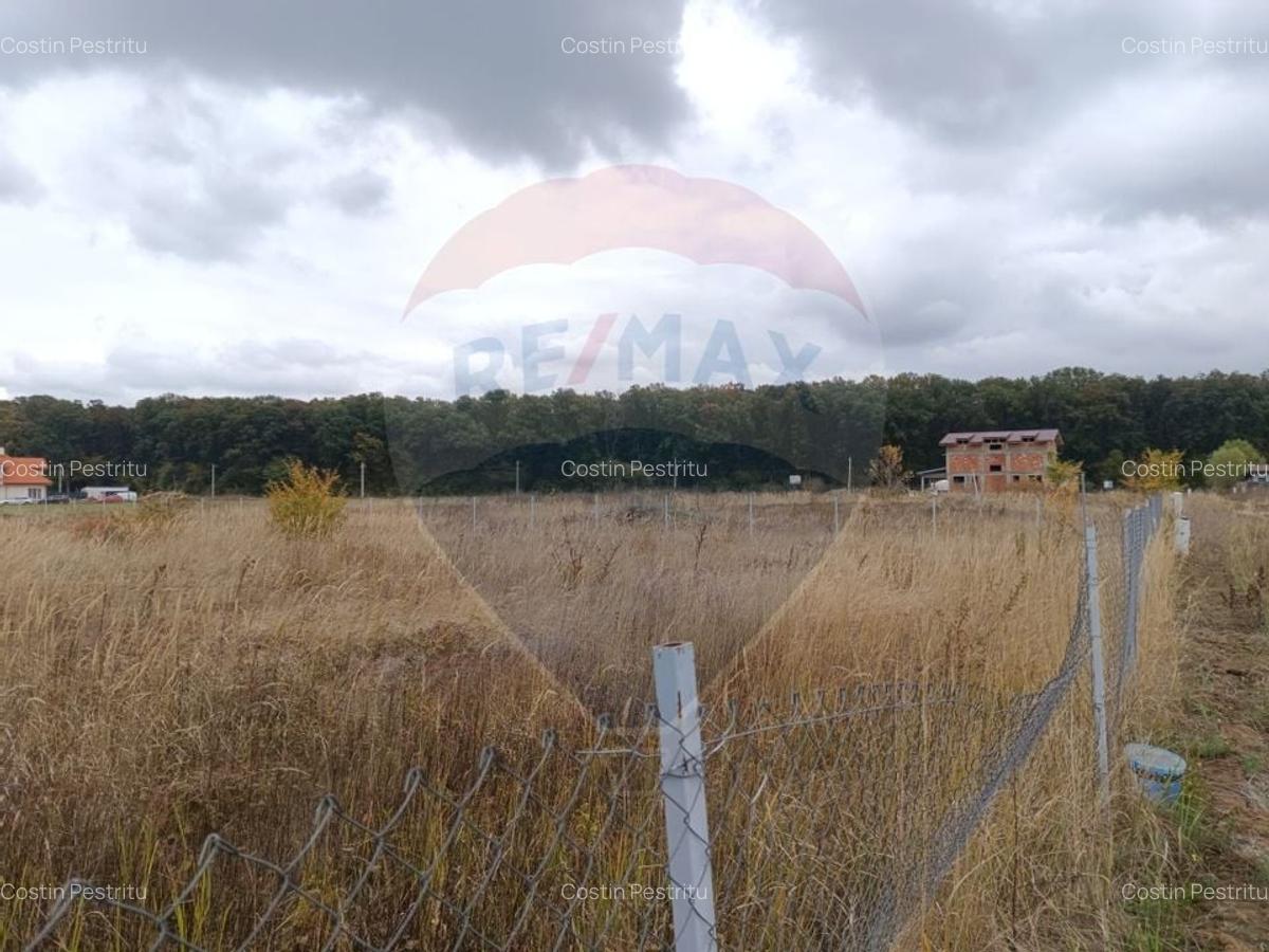 Teren 1,500mp Ghermanesti / Strada Cetatea neamtului - 8