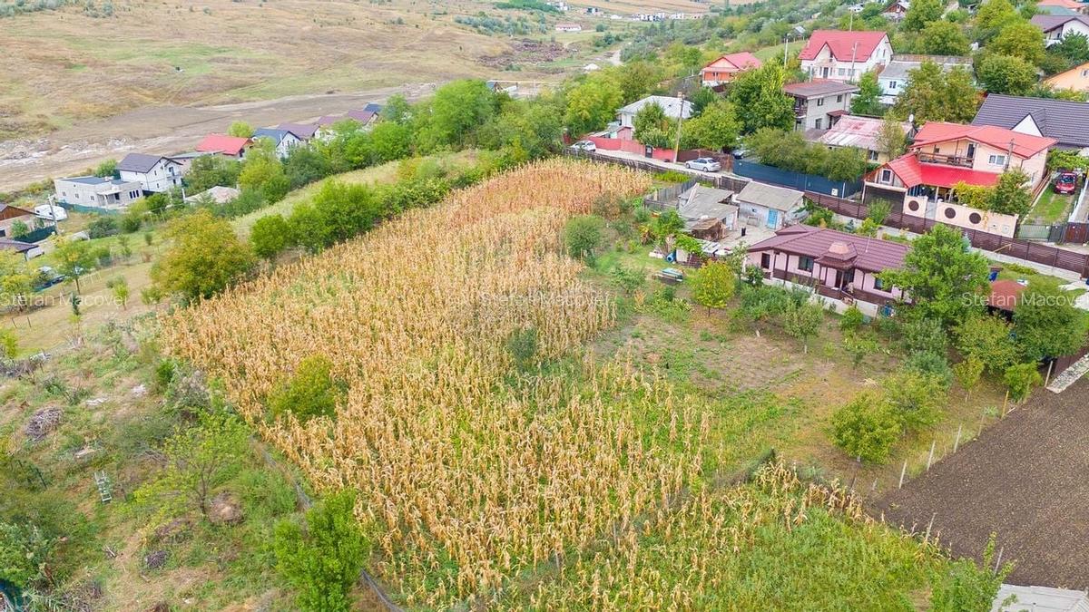 De Vanzare Teren Intravilan de 700 mp | Str. Viorelelor-Valea Lupului - 3