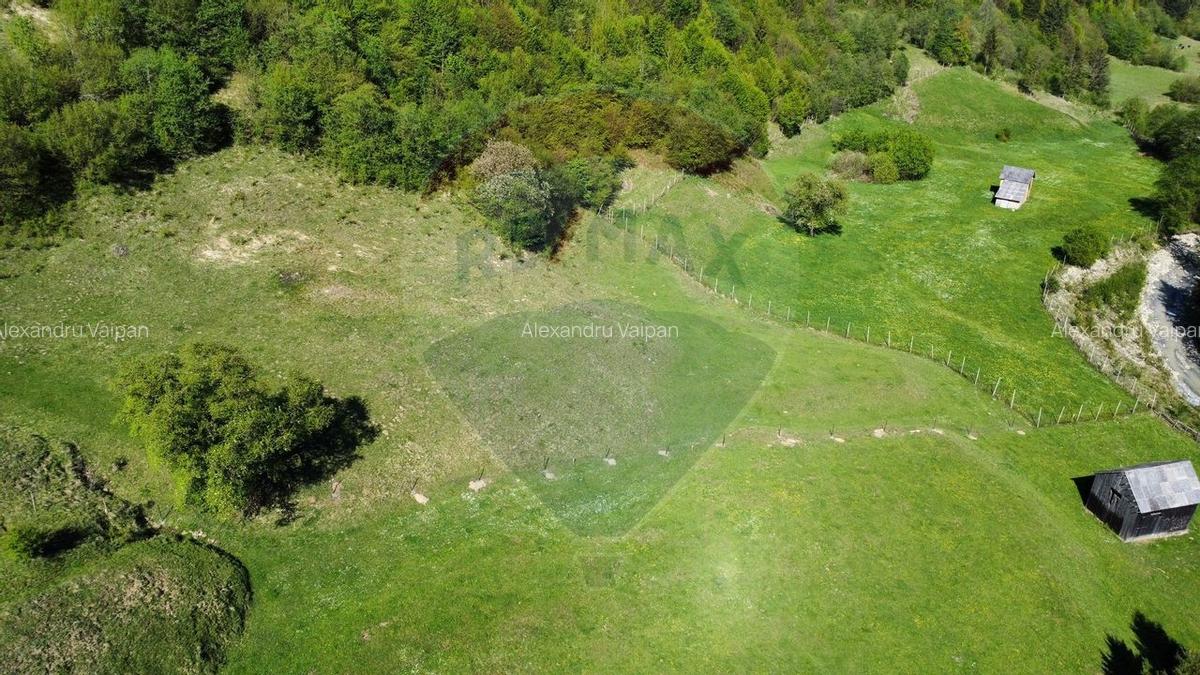 Teren 12,127mp Frasin / Drumul Forestier Valea Seaca - 3