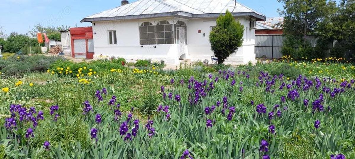 Casa 3 camere - Zorile Comuna Gradinari - 1