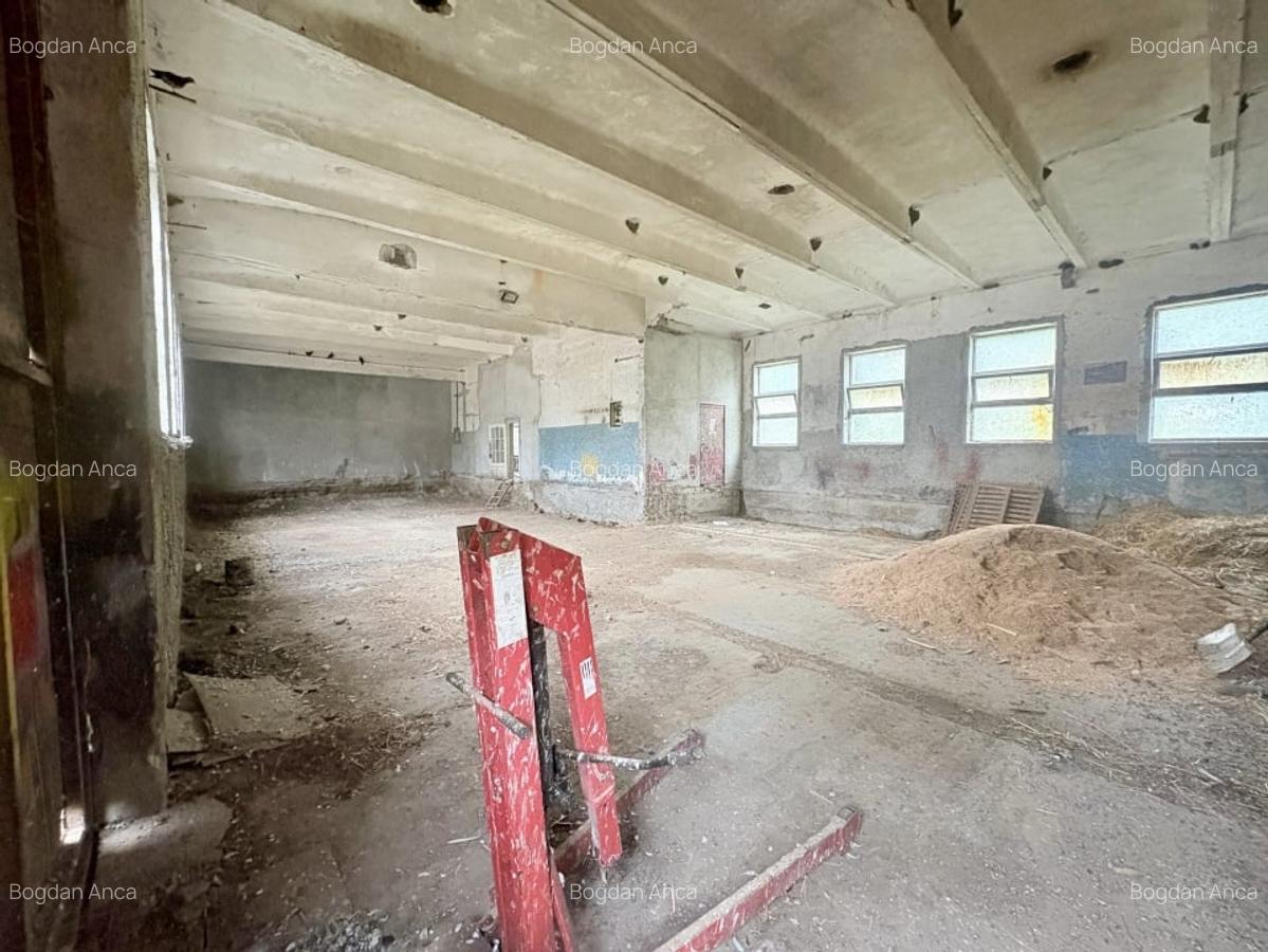 Teren in mijlocul padurii Valu lui Traian 1875 mp si cladire 450 mp hala - 3 Teren in mijlocul padurii Valu lui Traian 1875 mp si cladire 450 mp hala - 3