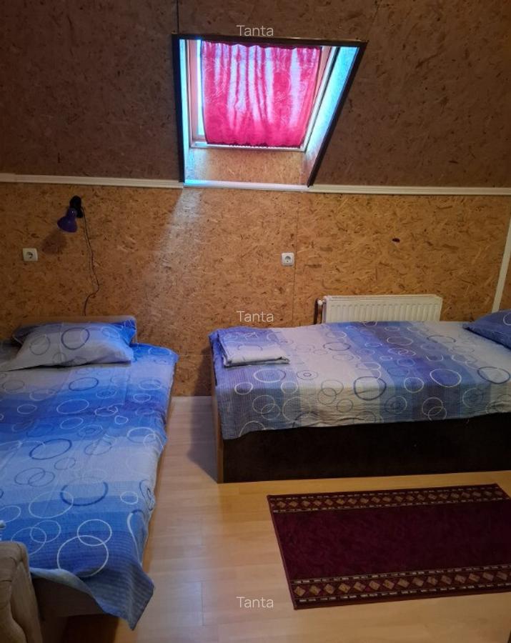 Casa spa?ioasa cu vedere panoramica, in Tekija Serbia (25km de VAMA) - 15