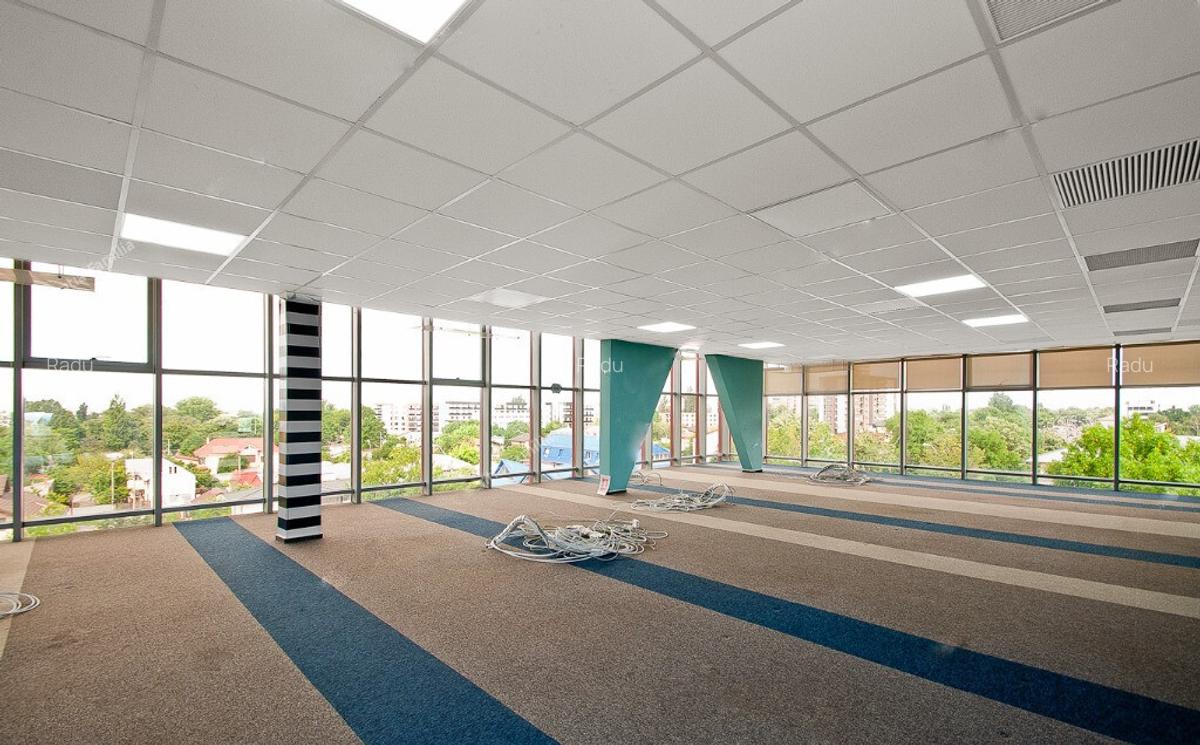 Bulevardul Cosbuc 116-118 - MaxFit - Birouri Premium - 2