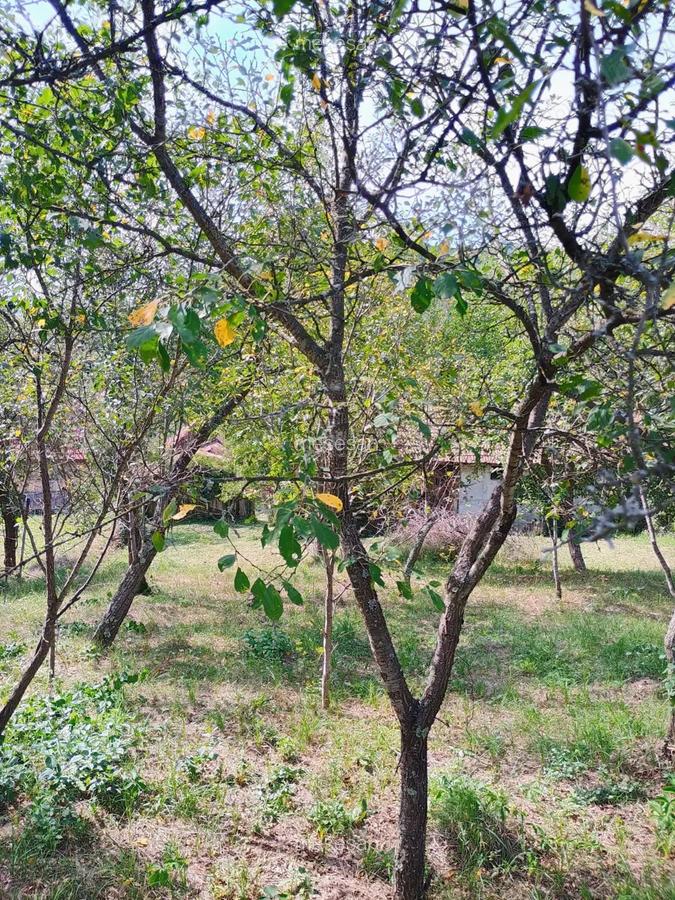 Casa + bucatarie de vara+gradina - 7